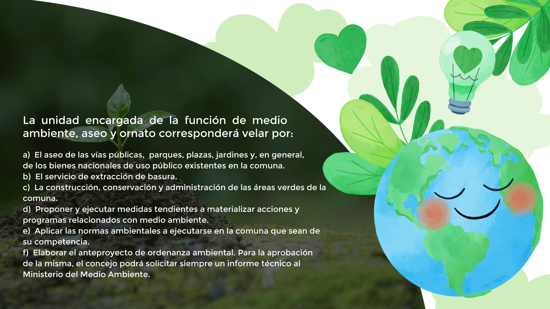 banner medio ambiente